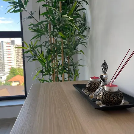 Rejuvenating Retreat Apartment Bucharest